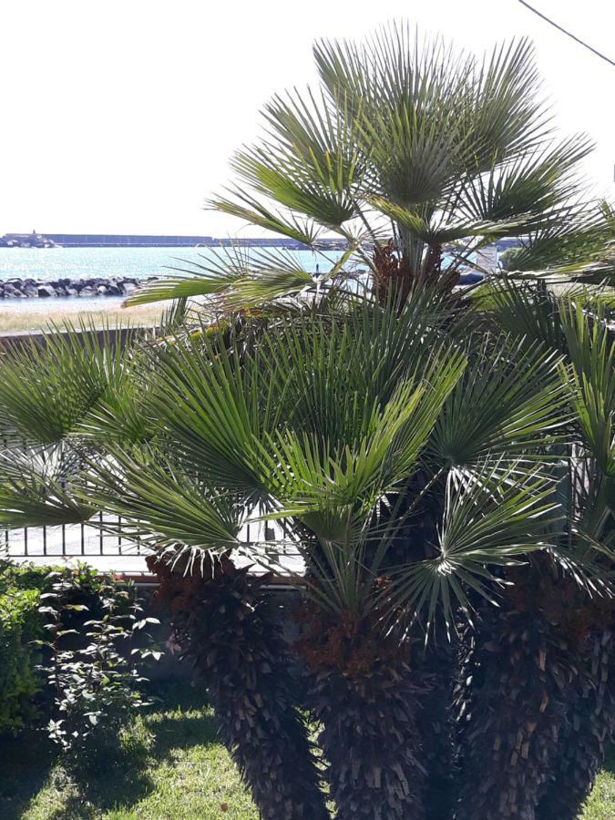Apartmán Al Giardino Sant'Anna Mascali Exteriér fotografie